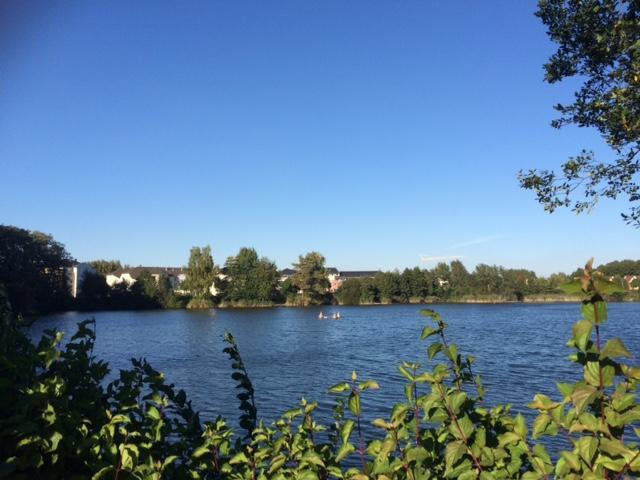 Holiday Home Dee/Syre Am Erlenhofsee Ransbach-Baumbach المظهر الخارجي الصورة